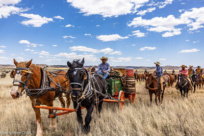 Silver spur ranch horses