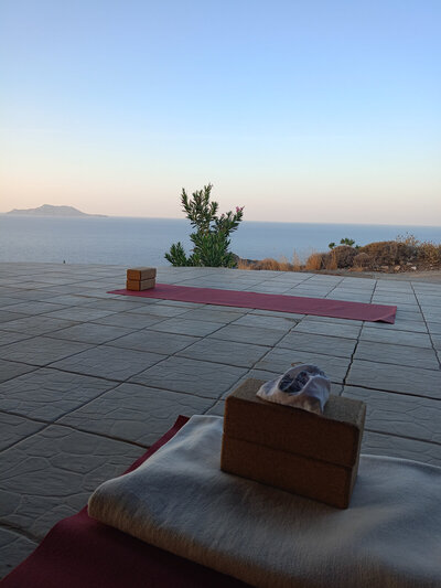 A tranquil retreat atmosphere with guests relaxing and practicing yoga outdoors.