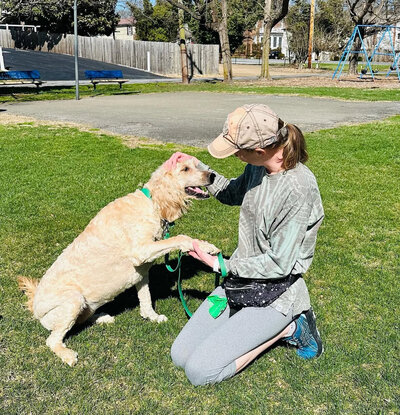 Large dog shaking paw with Leigh while she kneels on the ground