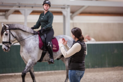 Zwaan zadelservice, zadelproblemen, duurzame ruitersport, paardenwelzijn, paard, blessures, ruiter, zadel, zadelpasconsult, palpatie, controle, nieuw zadel, zadelmerken, frank baisses saddlery, ikonic saddlery, arena saddles, wintec saddles, treeclix, LeMieux, acavallo, connect, revalidatie, veiligheidscheck zadel, bijvullen, singelstoten vervangen