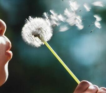 Online EMDR Intensives, online therapy with chartered psychologist, accredited EMDR practitioner, symbol of strength