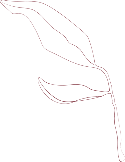 bloemenzodonkerroze
