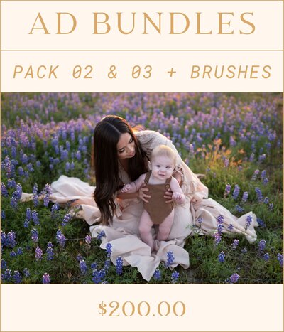 Aspen Dawn Presets Bundle Pk 2-3 before.