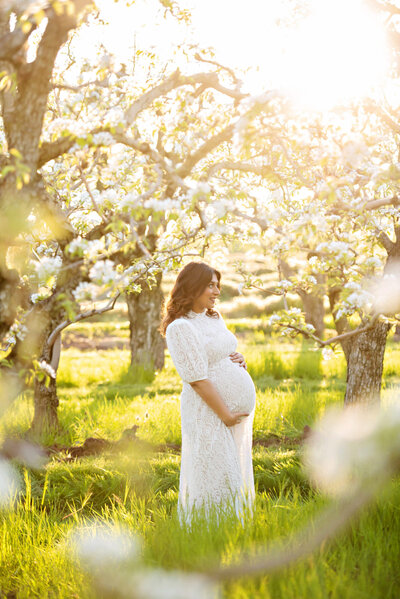 Pregnant woman cradling her belly in a Cherry Blossom field for her Toronto Maternity photos