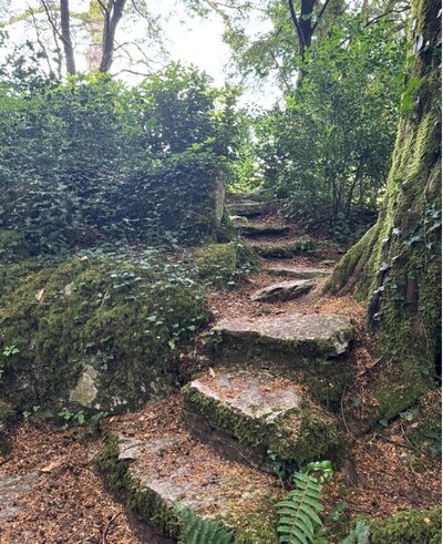 Storybook Stairs, Ireland