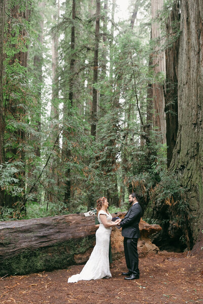 bride and groom portrait after their elopement ceremony in La  Push, Washington.