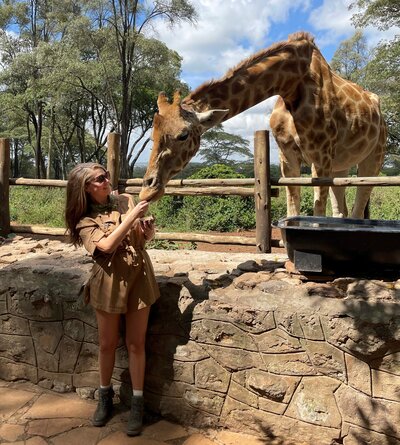 Safari - feeding giraffe