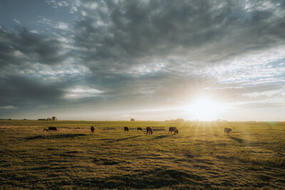 bride and groom reach for each other and barely touch at sand dunes in Nevada