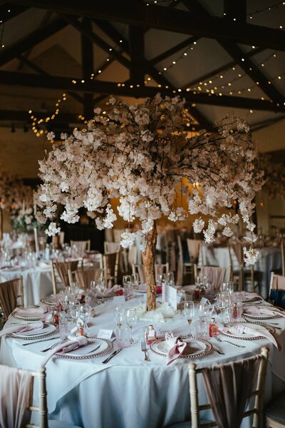Wedding and Event Planner Norfolk