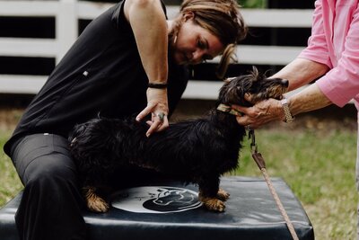 Mobile integrative veterinary care South Carolina_Burkett Veterinary Services 