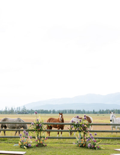 Montana Bride Elopement Photographer