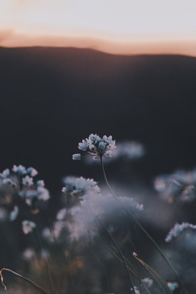 perchek-industrie-659947-unsplash