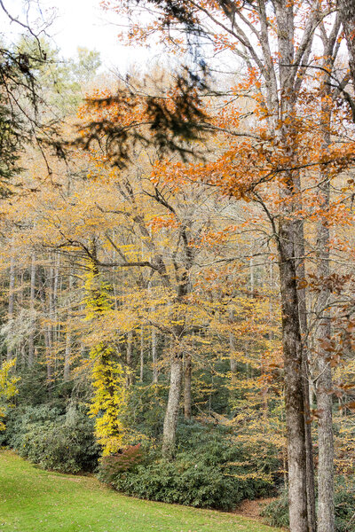 20241026MM-KendraMartinPhotography-182