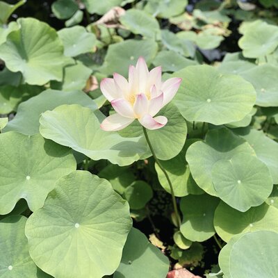 23F73374-2FDA-4824-9B00-7CA0890E56CA 2