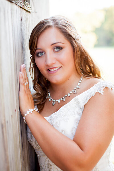 Wedding Photographer Jefferson County - St. louis - High Ridge Wedding portrait photographer