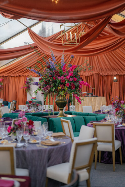 Black backdrop with white flowers and green foliage.