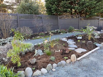 A newly planted garden bed with lush greenery, demonstrating the expertise and design services offered by Sleeping Dog Plants.