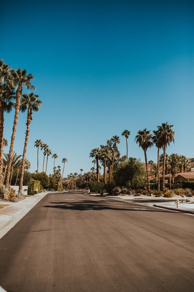 cody-board-2moAzYOvv84-unsplash
