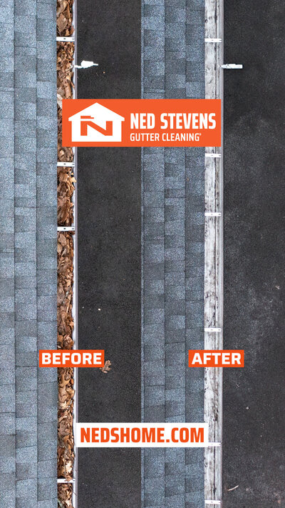 Ned's Home Social Media Promo