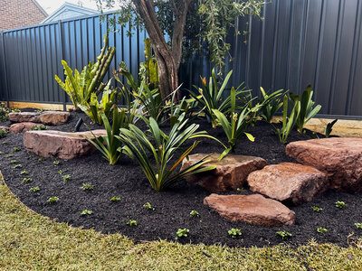 Erin_Street_Residential_Landscaping_01