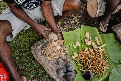 kava root being prepared