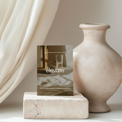 Portfolio project five brand and website mockup2