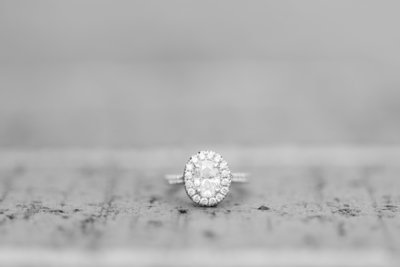 Jennifer B Photography-Raleigh-Engagement-JC Raulston and Museum of Art-Peter & Terra-2020-0200