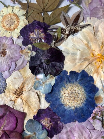 Dried flowers representing flower preservation services offered by Dame Designs.