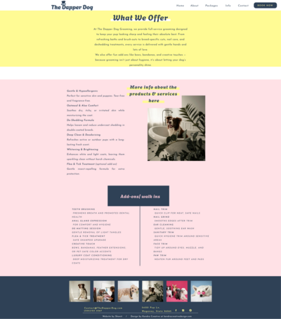 dd web design info page