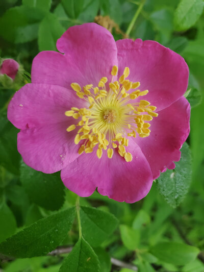 Jen Burghart Reiki 0010609_074336