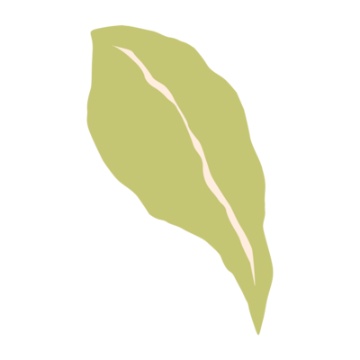 green leaf illustration