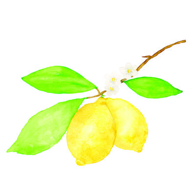 Lemon Branch watercolor print by Oh So Chic Designs