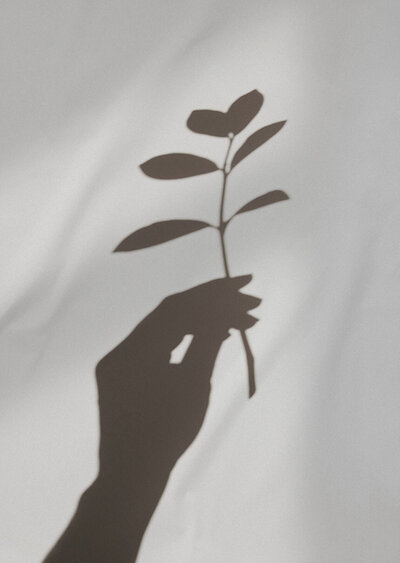 plant-hand-shadow-meditation-aesthetic-arista-texas-feminine