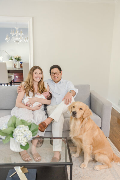 Couple holding newborn on couch with their golden retriever at their feet. -Family Photographer Greenville SC