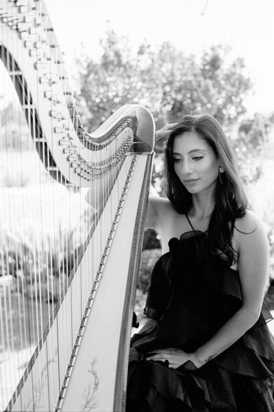 Luxury Cellist