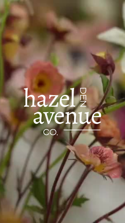 Hazel Avenue Story_11