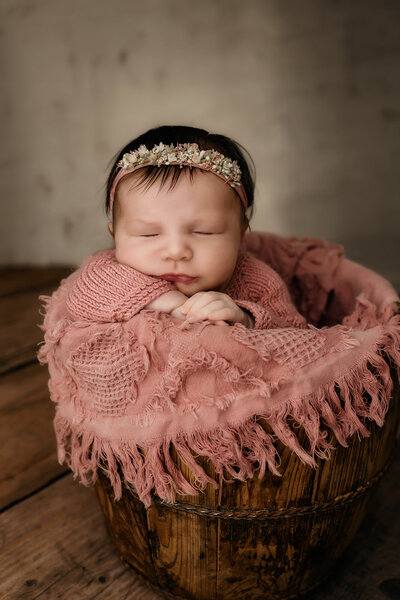 Sonora Photographer