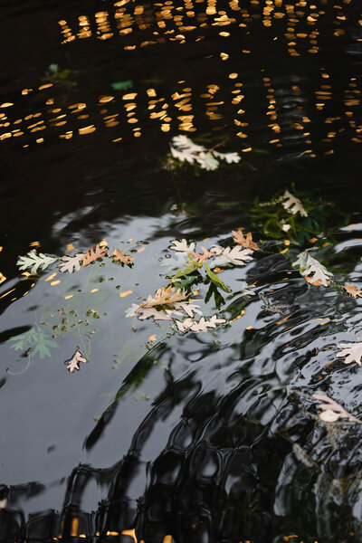 winterthur-wedding-delaware-74