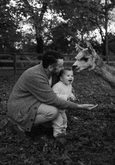 Unique alpaca photography packages for the whole family.