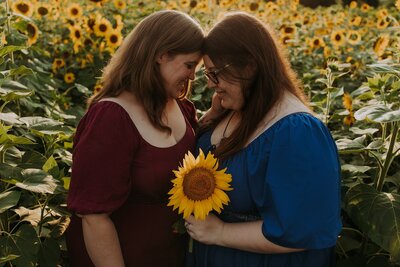 Kiri Jenna Sunflowers-102