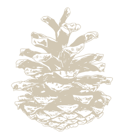 custom florist website