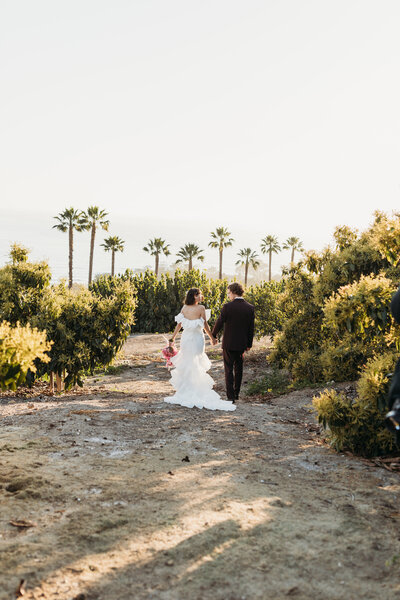 Bride and groom walking in palm trees