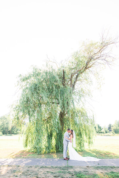 Bride and groom kissing in front of willow tree at South Shore Country Club in Hingham, MA