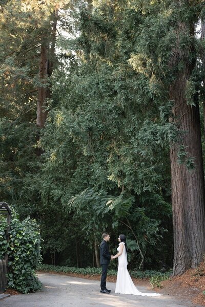 bride and groom hold hands and pose for bridal photos by boise photographer