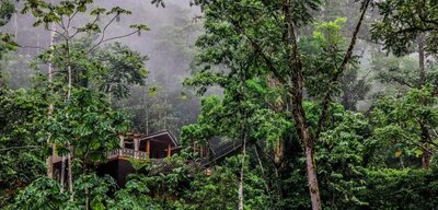 photo of James, CMO and e-commerce expert, and a previous client of Lois