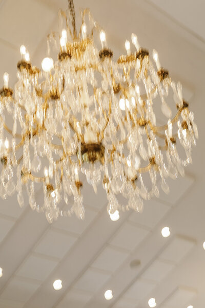 009-sneak-peek-jenny-khang-wedding-magnolia-room-rock-hill-south-carolina-noir-9-creatives-IMG_8886_websize