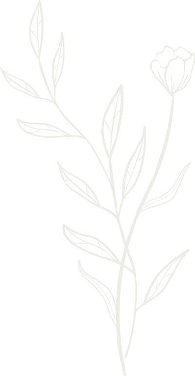 White leaf graphic with a single bloom