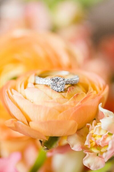 photo of diamond engagment ring on beautiful wedding color rose