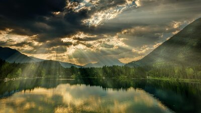 Psychedelic coaching for women ready to heal, grow, and reconnect. Get support, guidance, and custom journeys rooted in feminine wisdom and care.
