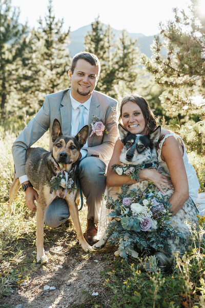 A couple crouching down smiling with two dogs.